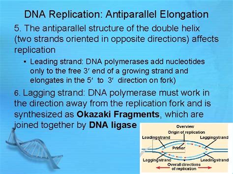 Image result for Forensic Botany DNA Barcoding