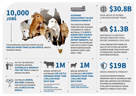 What Is A Live Animal Export at Gabriel Chubb blog
