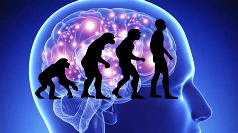 What is Psychology Class 11 Psychology