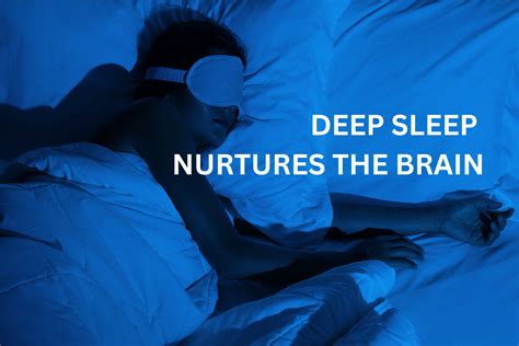 Image result for DeepSleep Brain
