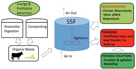Semi Solid State Fermentation 的图像结果