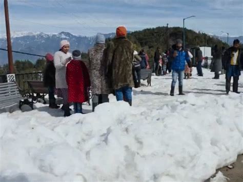 Cold Wave Grips Rajasthan; Fog Alert in UP, Bihar