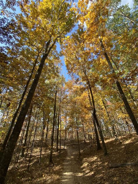 The 15 Best Hikes in Chattanooga for Adventure Seekers