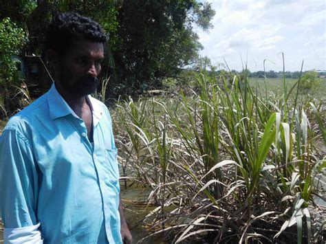 Kerala floods: In Alapuzzha and Pathanamthitta, homes are being cleaned ...