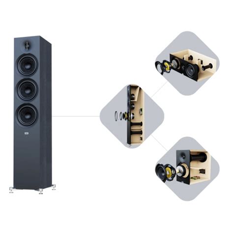 ELAC Debut 3.0 F6.3 Floorstanding 3-Way Speaker (Pair) — ProHiFi India