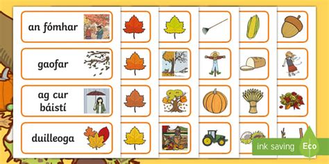 Autumn Topic Word Cards Gaeilge