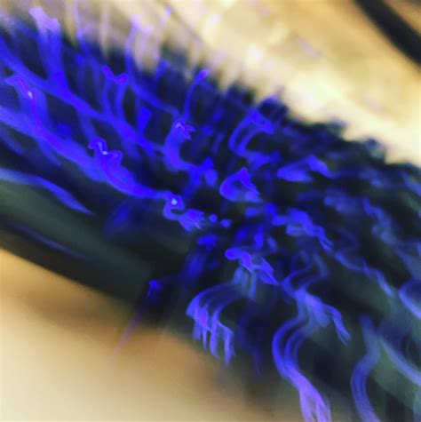 Image result for Camera View during Test Both Hands-On Keyboard