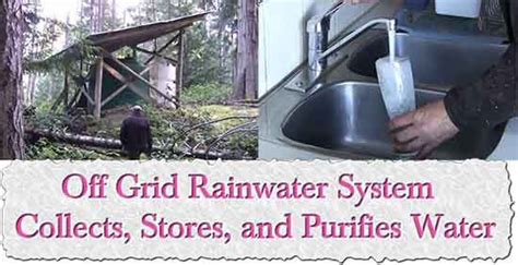 Aboriginal Rain Harvesting: Desert Survival Water Collection Techniques