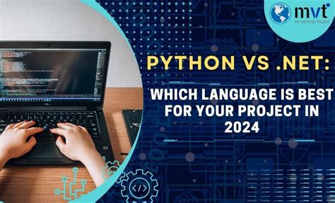Image result for Python vs .Net