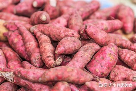 怎样种红薯结得多又大 红薯结得多又大的种植方法_知秀网