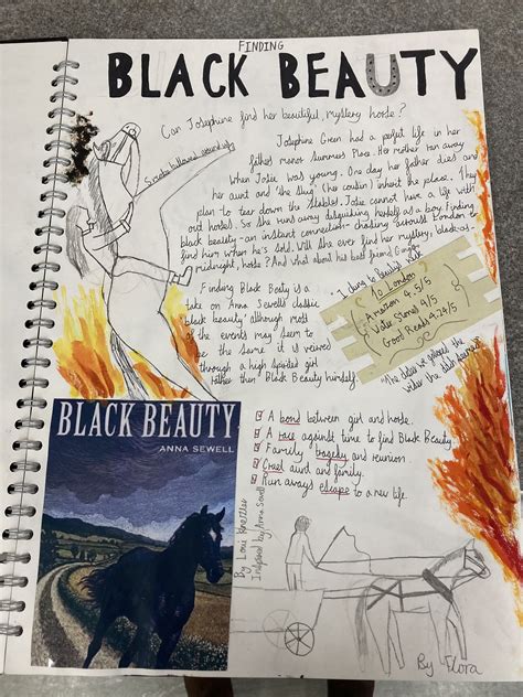 Book Review On Black Beauty