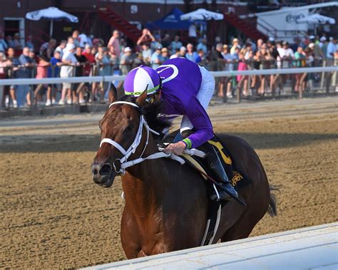 New York Thunder con velocidad excepcional ganó en el Amsterdam Stakes ...