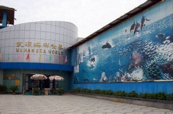 2020武汉东湖海洋世界-旅游攻略-门票-地址-问答-游记点评，武汉旅游旅游景点推荐-去哪儿攻略