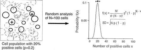 Image result for Sampling Coverage Error