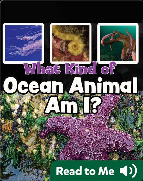 What Kind of Ocean Animal Am I? Book by Taylor Farley | Epic