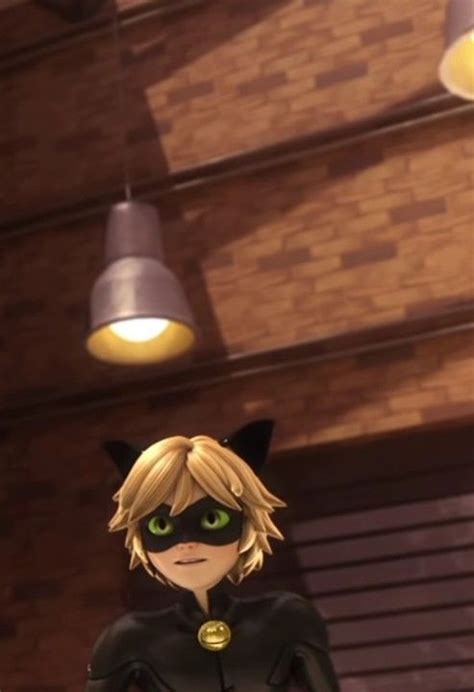 Rezultat imagine pentru Ladybug Copycat