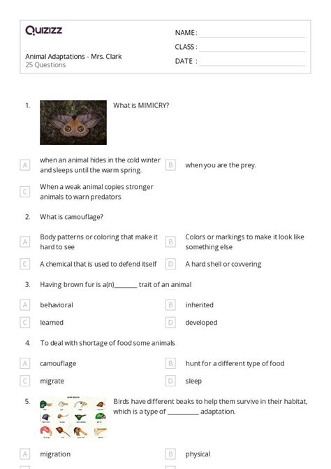 50+ animal adaptations worksheets on Quizizz | Free & Printable