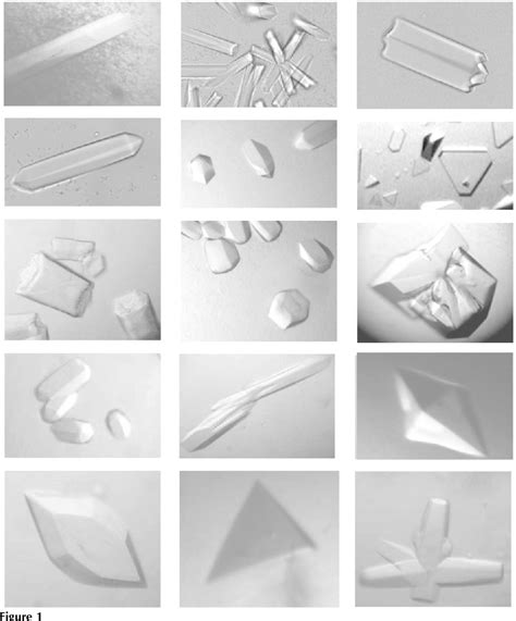 Image result for Microscopy Crystallization