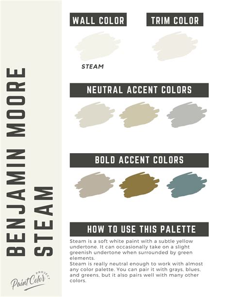 Benjamin Moore Steam Paint Color Palette - The Paint Color Project