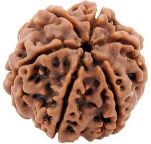 HAPPY CREATION 6 Mukhi Rudraksha Six face Wood Pendant Price in India ...
