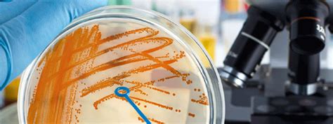 Department is mainly involved in teaching and research. We inculcate in ...