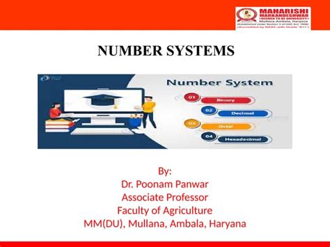 Number System Introduction 的图像结果