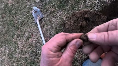 Youtube.com Dapping Coin Buttons 的图像结果