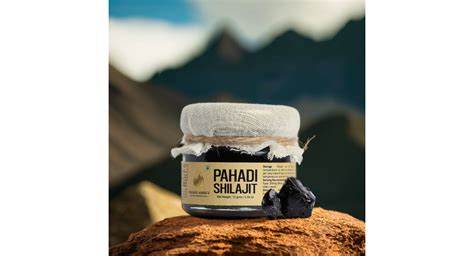 Top 5 Best Shilajit Brands In USA [Updated 2026]