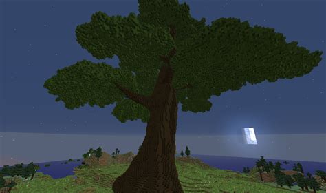 Giant Dark Oak Tree Minecraft 的图像结果