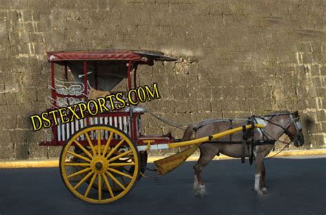 Small Horse Tangas HORSE DRAWN CARRIAGES,BUGGY,CINDERELLA CARRIAGES ...