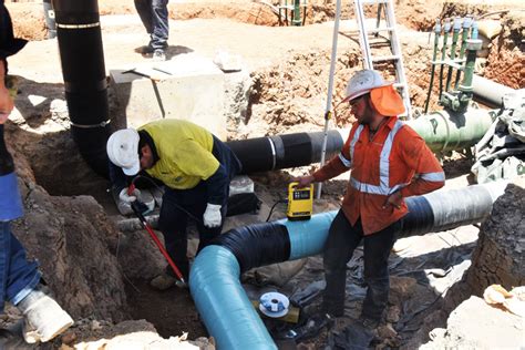 Image result for Holiday Testing