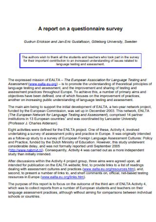 Questionnaire Report Example 的图像结果