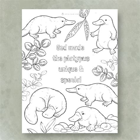 Why Does a Platypus Lay Eggs?