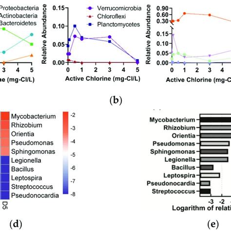 Image result for Enterococcus Chlorination