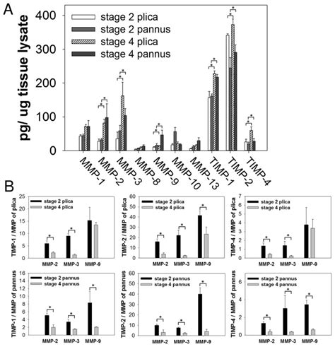 Image result for MMP Pool