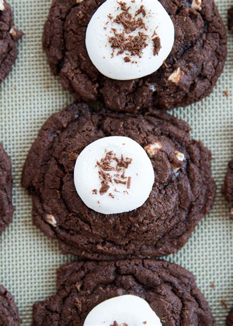 chocolate cocoa cookies