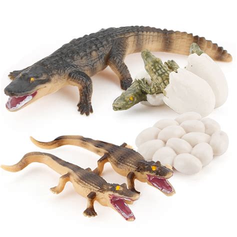 Crocodile Life Cycle Life Cycle Of Baby Crocodile Figurines Set | Desertcart EGYPT