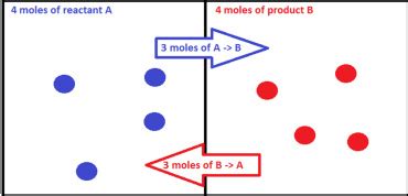 Image result for Dynamic Systems Examples Equilibrium
