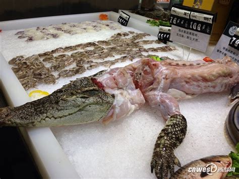 西安一超市卖鳄鱼肉引围观 市民敢摸不敢买[3]- 中国在线