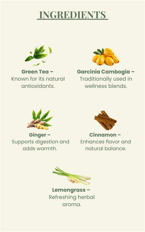 Shape Shift Brew – Metabolism & Wellness Tea – Amrive