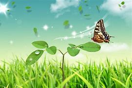 Image result for Butterfly Nature Art