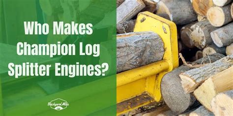 Image result for Using a Champion Log Splitter