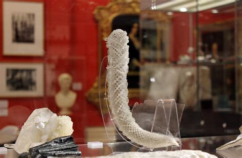 Venus Flower Basket - Canterbury Museums & Galleries