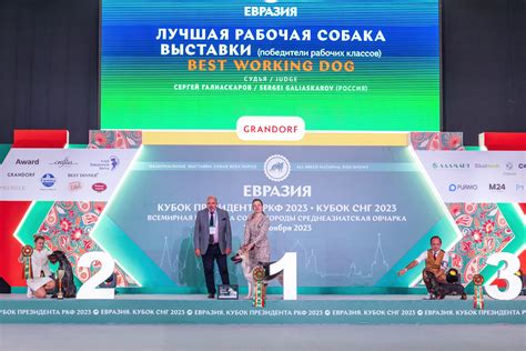 В Москве прошла выставка собак «Евразия 2023» - РКФ