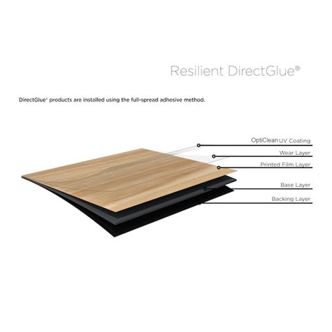 Shaw Divergence Structure 6-mil x 6-in W x 36-in L Water Resistant ...