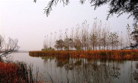 摄影 - 民权黄河故道国家湿地公园