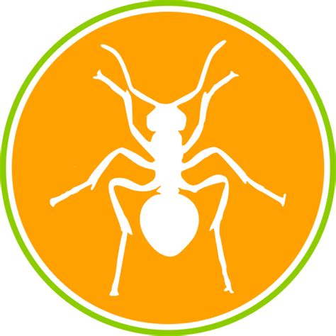 Ameisen bekämpfen in Berlin & Brandenburg - Kuschke SBK