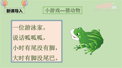 小青蛙说课PPT课件-教习网|课件下载