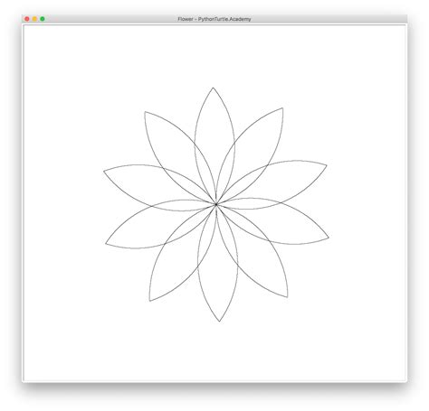 Image result for Flower Python Simple Code