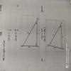 In the triangles shown below, ∠Q=∠T. [1] Write an expression each for ...